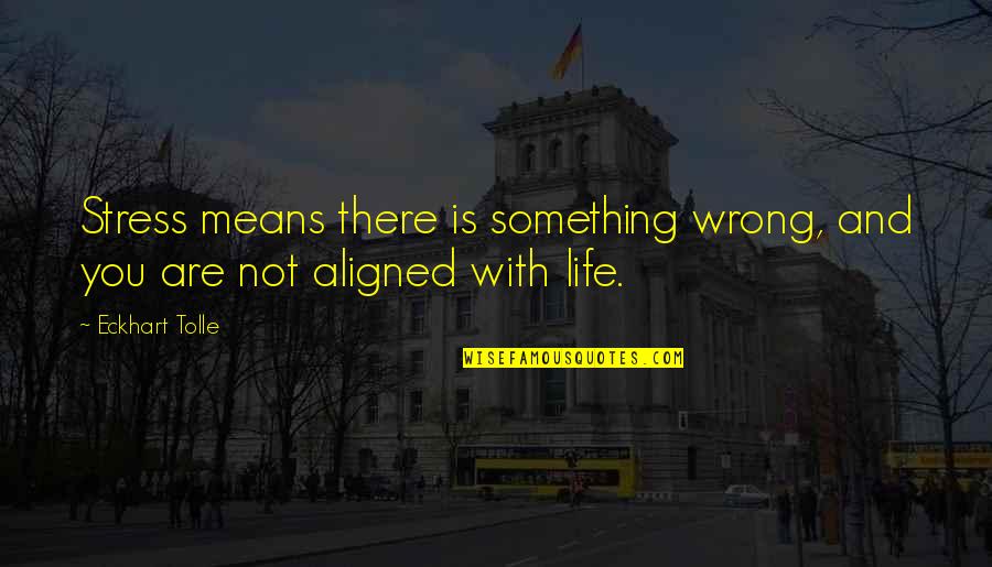 Something Wrong In My Life Quotes By Eckhart Tolle: Stress means there is something wrong, and you