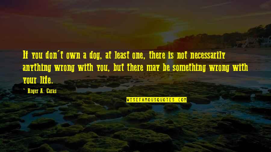 Something Wrong In My Life Quotes By Roger A. Caras: If you don't own a dog, at least