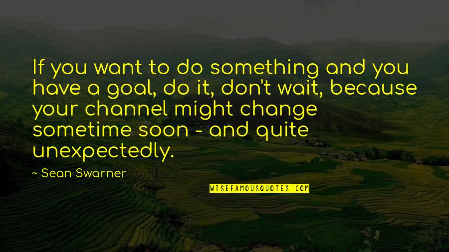 Something You Don't Want To Do Quotes By Sean Swarner: If you want to do something and you