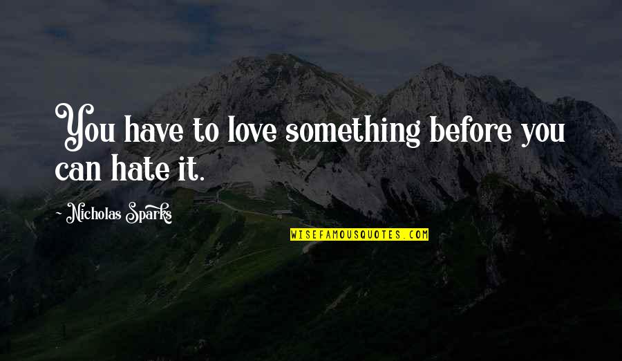 Something You Hate Quotes By Nicholas Sparks: You have to love something before you can