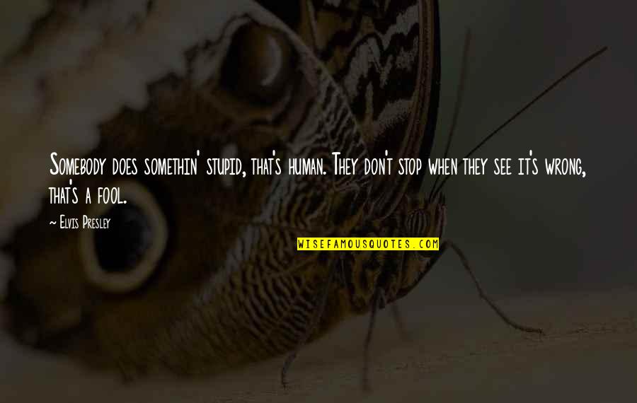 Somethin's Quotes By Elvis Presley: Somebody does somethin' stupid, that's human. They don't