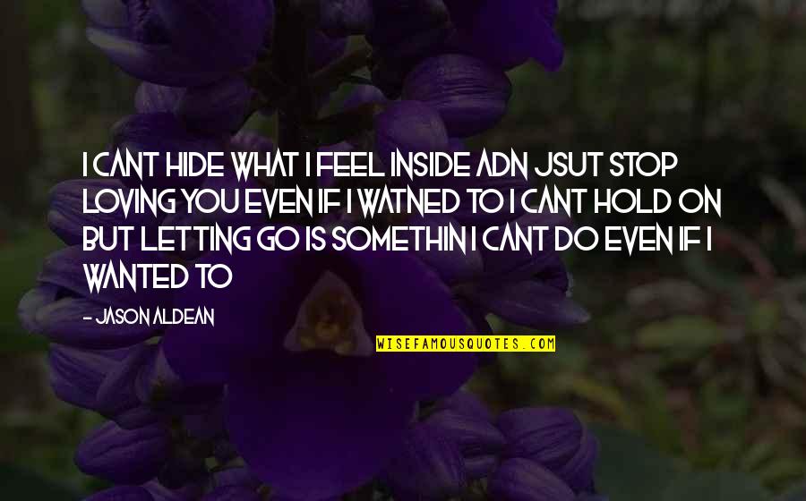 Somethin's Quotes By Jason Aldean: I cant hide what i feel inside adn