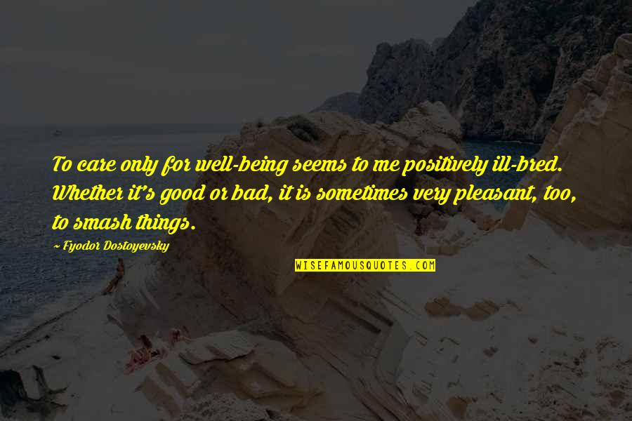 Sometimes Being Bad Is Good Quotes By Fyodor Dostoyevsky: To care only for well-being seems to me