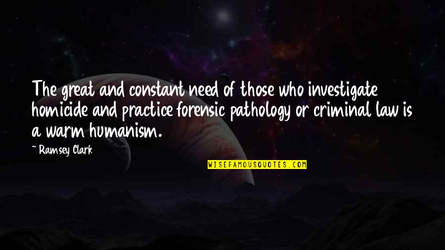 Sometimes I Feel Pretty Quotes By Ramsey Clark: The great and constant need of those who