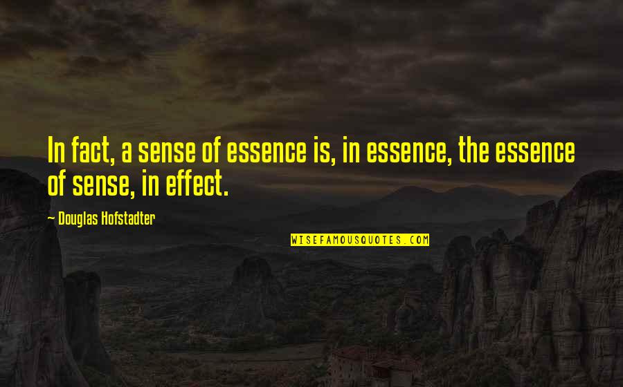 Sometimes I Just Want To Be Alone Quotes By Douglas Hofstadter: In fact, a sense of essence is, in