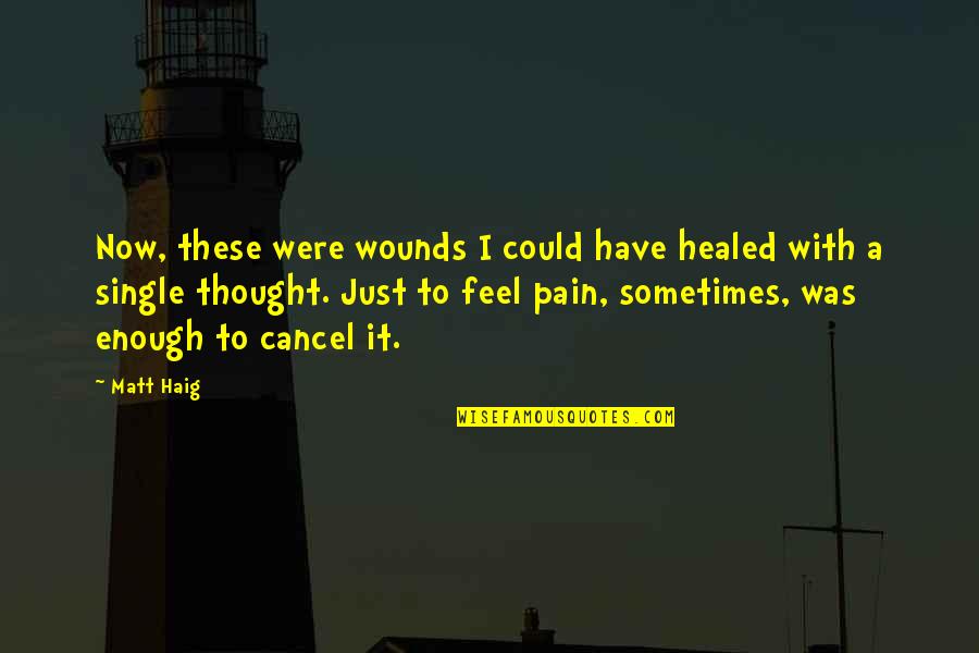 Sometimes I Thought Quotes By Matt Haig: Now, these were wounds I could have healed
