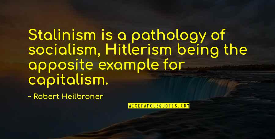 Sometimes I Wish I Was Pretty Quotes By Robert Heilbroner: Stalinism is a pathology of socialism, Hitlerism being