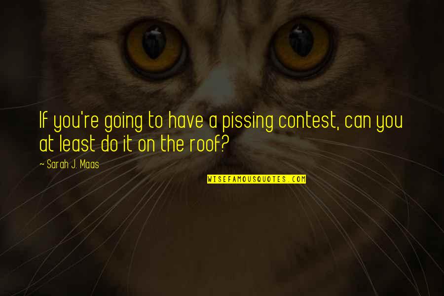 Sometimes I Wish You Were Here Quotes By Sarah J. Maas: If you're going to have a pissing contest,