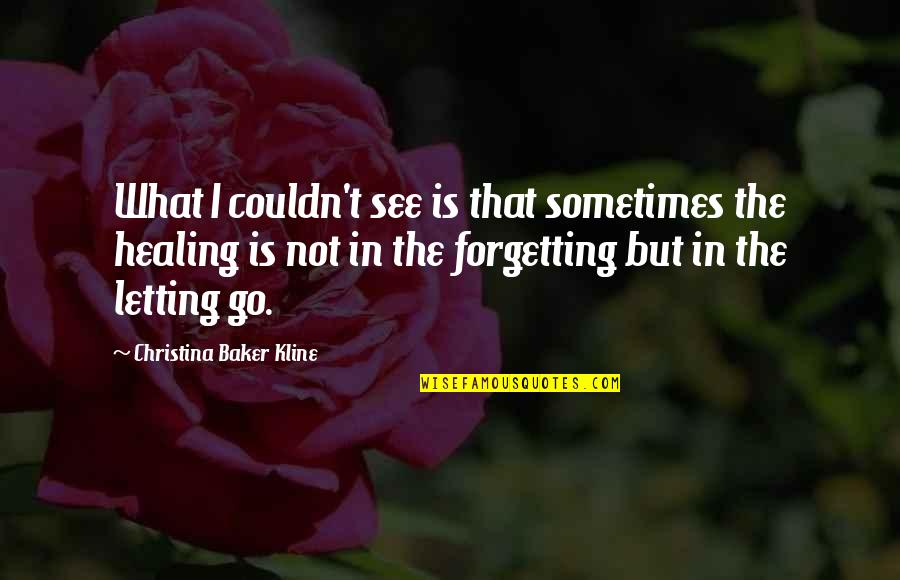 Sometimes It's Letting Go Quotes By Christina Baker Kline: What I couldn't see is that sometimes the