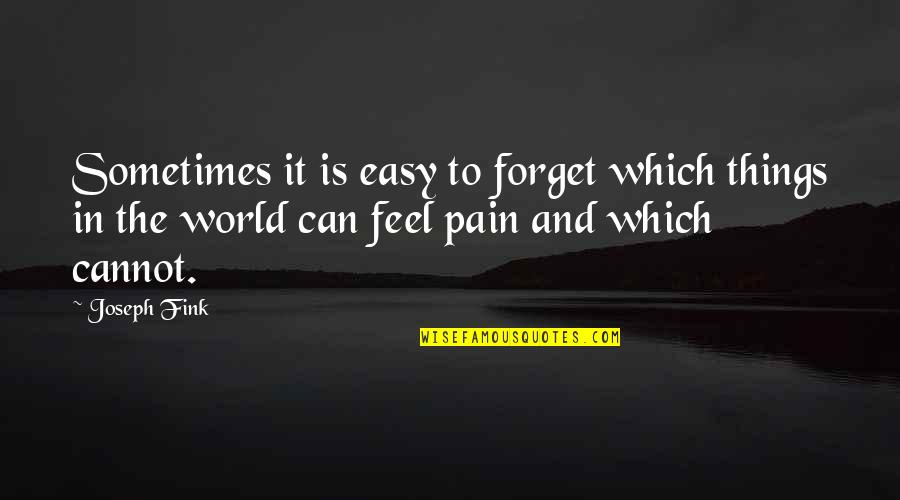 Sometimes It's Not Easy Quotes By Joseph Fink: Sometimes it is easy to forget which things