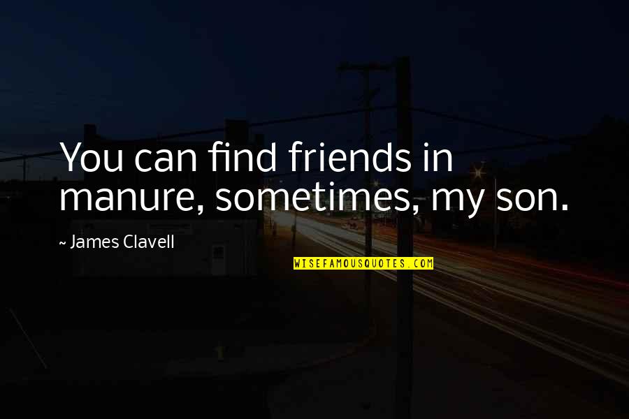 Sometimes We Are Friends Quotes By James Clavell: You can find friends in manure, sometimes, my Sometimes We Are Friends Quotes By James Clavell: You can find friends in manure, sometimes, my