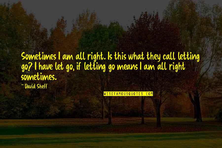 Sometimes We Have To Let Go Quotes By David Sheff: Sometimes I am all right. Is this what