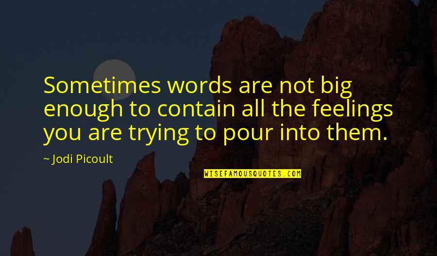 Sometimes Words Are Just Not Enough Quotes By Jodi Picoult: Sometimes words are not big enough to contain