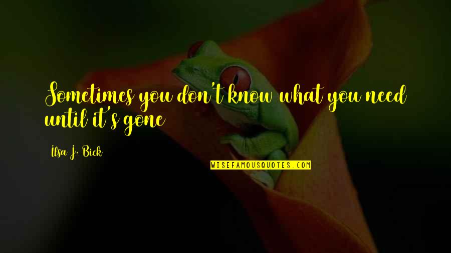 Sometimes You Don't Know Quotes By Ilsa J. Bick: Sometimes you don't know what you need until