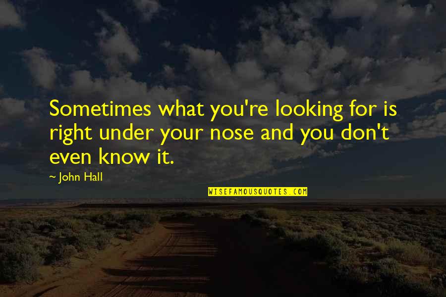 Sometimes You Don't Know Quotes By John Hall: Sometimes what you're looking for is right under