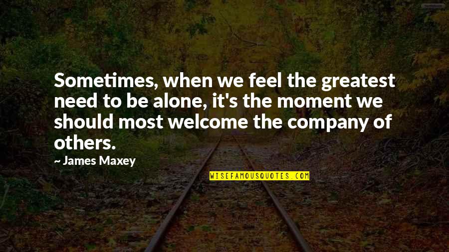 Sometimes You Feel Alone Quotes By James Maxey: Sometimes, when we feel the greatest need to