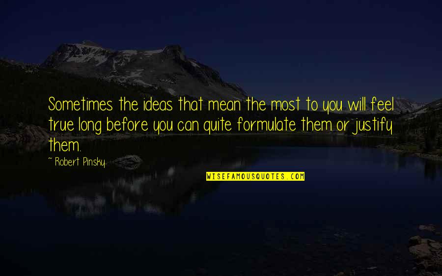 Sometimes You Feel Quotes By Robert Pinsky: Sometimes the ideas that mean the most to Sometimes You Feel Quotes By Robert Pinsky: Sometimes the ideas that mean the most to