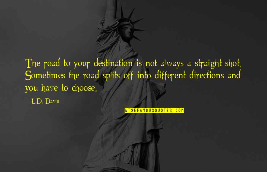Sometimes You Have To Choose Quotes By L.D. Davis: The road to your destination is not always