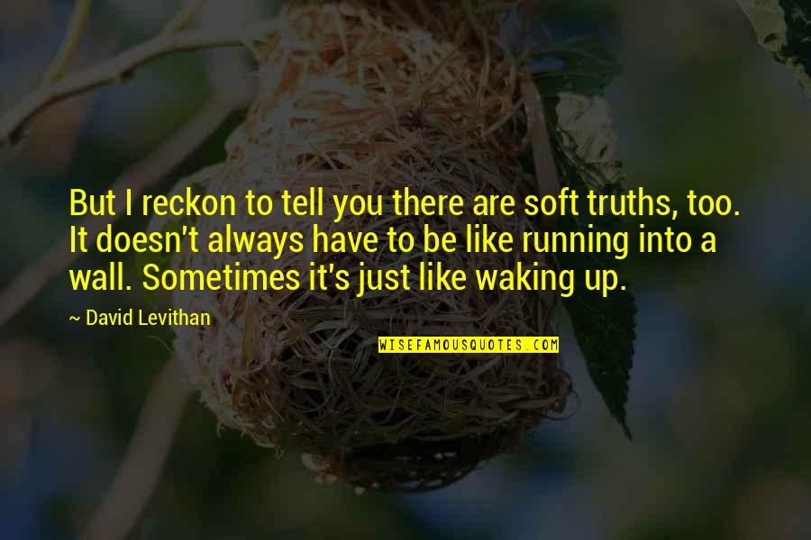 Sometimes You Have Too Quotes By David Levithan: But I reckon to tell you there are