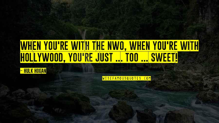 Sometimes You Just Have To Let Things Go Quotes By Hulk Hogan: When you're with the nWo, when you're with