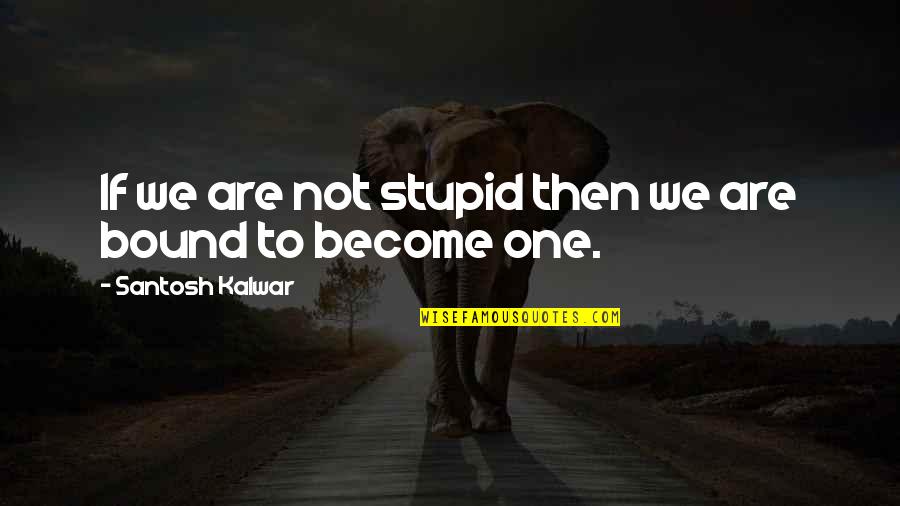 Sometimes You Just Need Time Quotes By Santosh Kalwar: If we are not stupid then we are
