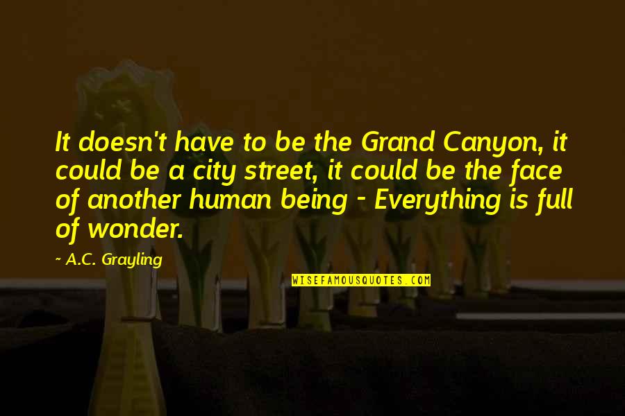 Sometimes Your Friends Can Hurt You Quotes By A.C. Grayling: It doesn't have to be the Grand Canyon,