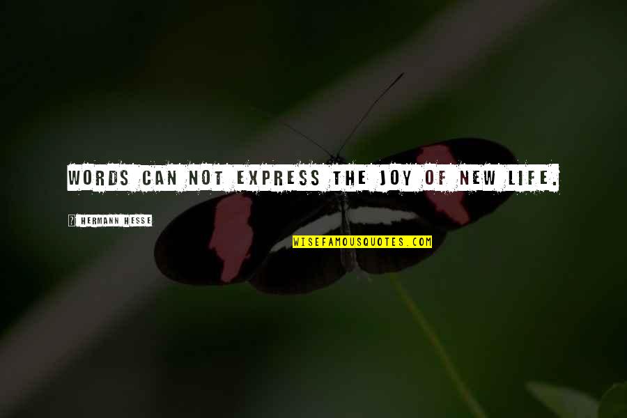 Somewere Quotes By Hermann Hesse: Words can not express the joy of new