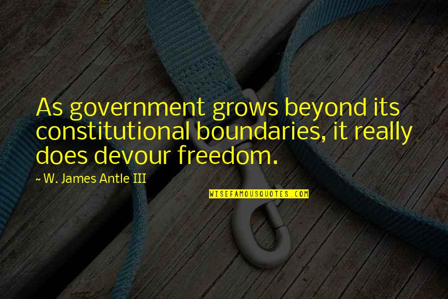 Somewhere Towards The End Quotes By W. James Antle III: As government grows beyond its constitutional boundaries, it