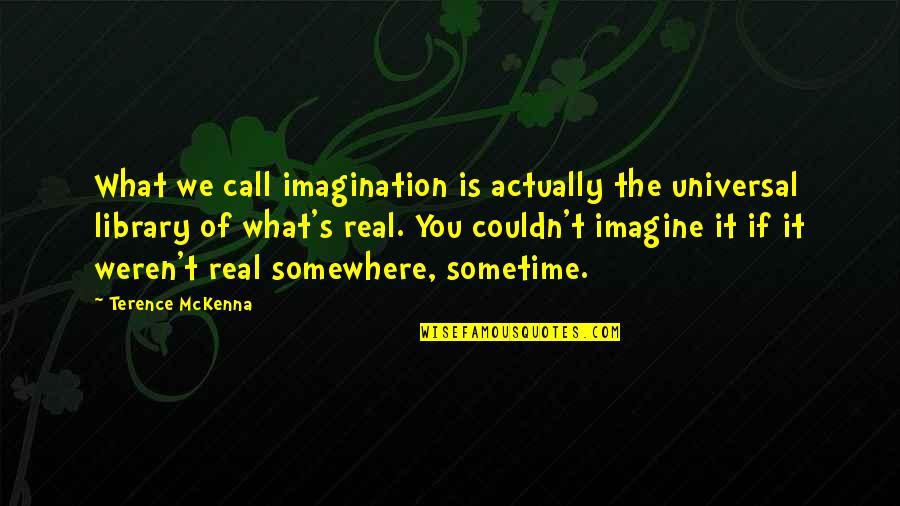 Somewhere's Quotes By Terence McKenna: What we call imagination is actually the universal