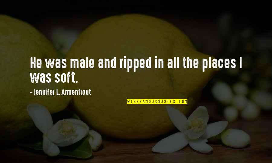 Somjit Shartle Quotes By Jennifer L. Armentrout: He was male and ripped in all the