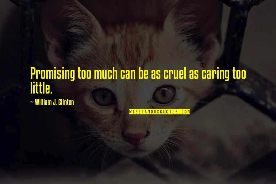 Sommelier Quotes By William J. Clinton: Promising too much can be as cruel as Sommelier Quotes By William J. Clinton: Promising too much can be as cruel as