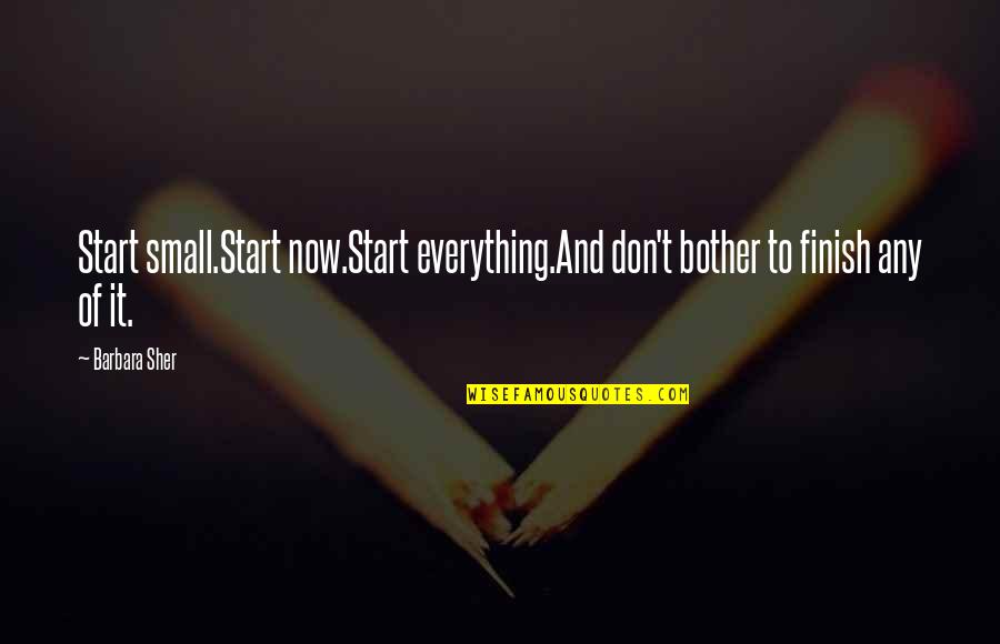 Sommergespraeche Quotes By Barbara Sher: Start small.Start now.Start everything.And don't bother to finish