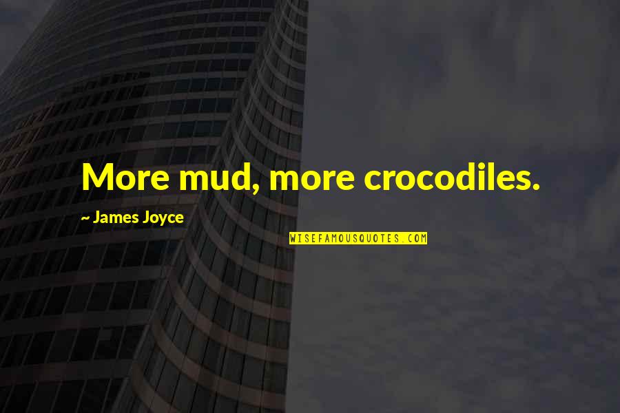 Somner Vertical Blinds Quotes By James Joyce: More mud, more crocodiles.