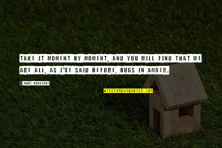 Somnium Vineyard Quotes By Kurt Vonnegut: Take it moment by moment, and you will