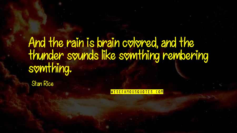 Somthing Quotes By Stan Rice: And the rain is brain colored, and the