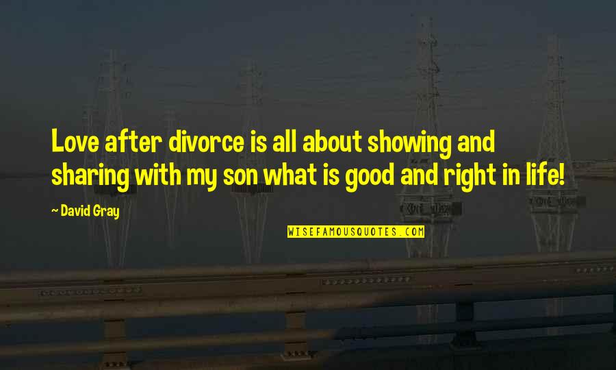 Son Is My Life Quotes By David Gray: Love after divorce is all about showing and