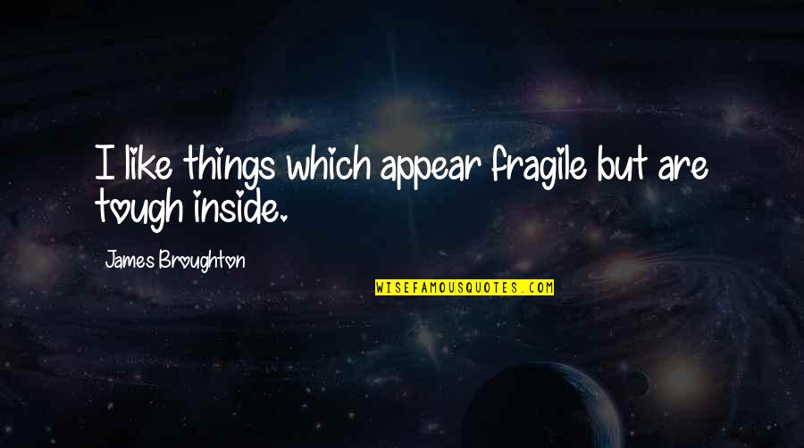 Sonare Quotes By James Broughton: I like things which appear fragile but are