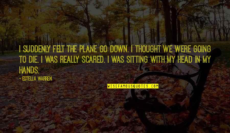 Sonata Mirror Quotes By Estella Warren: I suddenly felt the plane go down. I