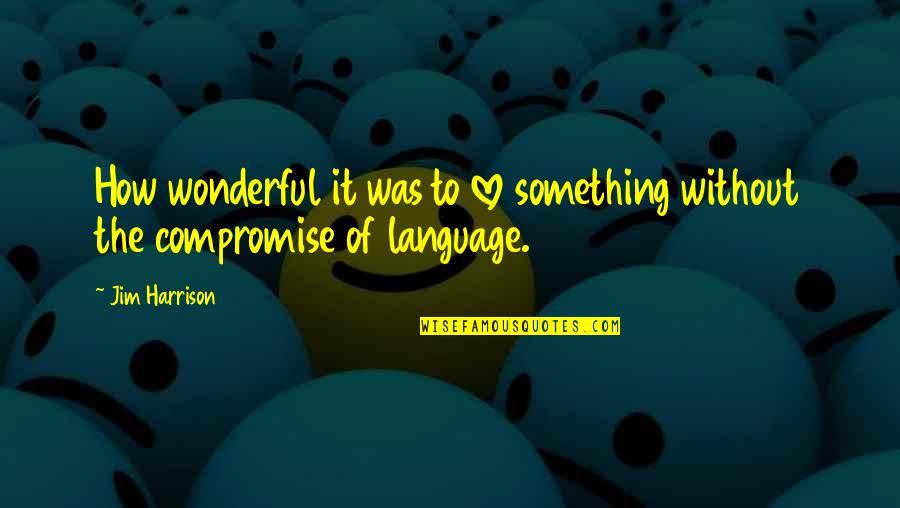 Sonawane Bob Quotes By Jim Harrison: How wonderful it was to love something without