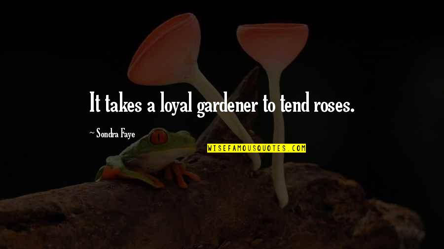 Sondra Quotes By Sondra Faye: It takes a loyal gardener to tend roses. Sondra Quotes By Sondra Faye: It takes a loyal gardener to tend roses.