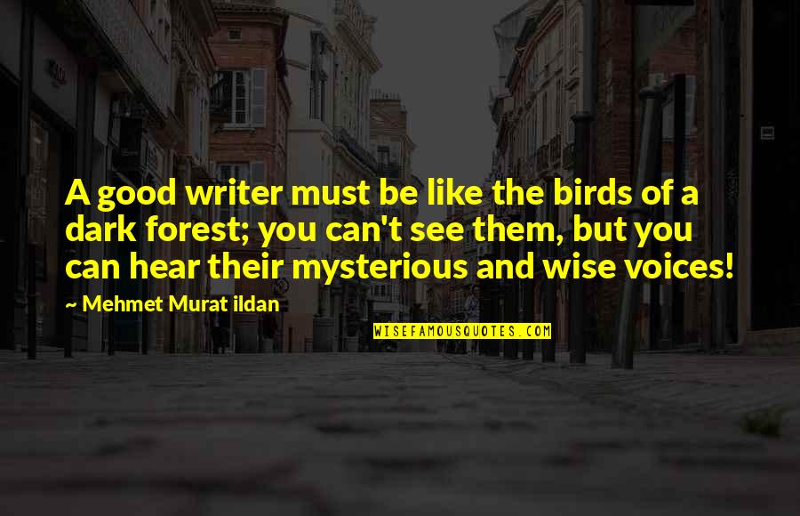 Song Names In Quotes By Mehmet Murat Ildan: A good writer must be like the birds