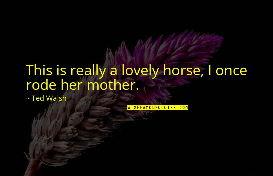 Songcraft Archeage Quotes By Ted Walsh: This is really a lovely horse, I once
