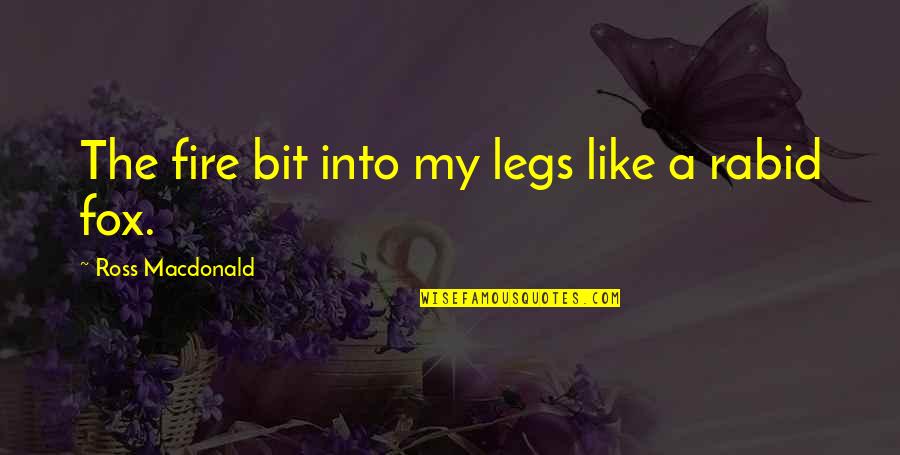 Songs You Didnt Quotes By Ross Macdonald: The fire bit into my legs like a Songs You Didnt Quotes By Ross Macdonald: The fire bit into my legs like a