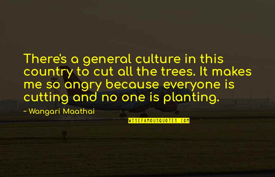 Sonham 4 Quotes By Wangari Maathai: There's a general culture in this country to Sonham 4 Quotes By Wangari Maathai: There's a general culture in this country to