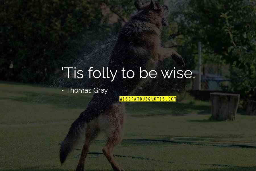 Soni Bringas Quotes By Thomas Gray: 'Tis folly to be wise.