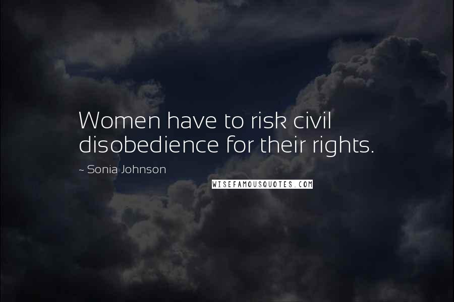 Sonia Johnson quotes: Women have to risk civil disobedience for their rights.