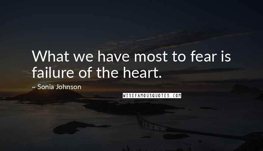 Sonia Johnson quotes: What we have most to fear is failure of the heart.