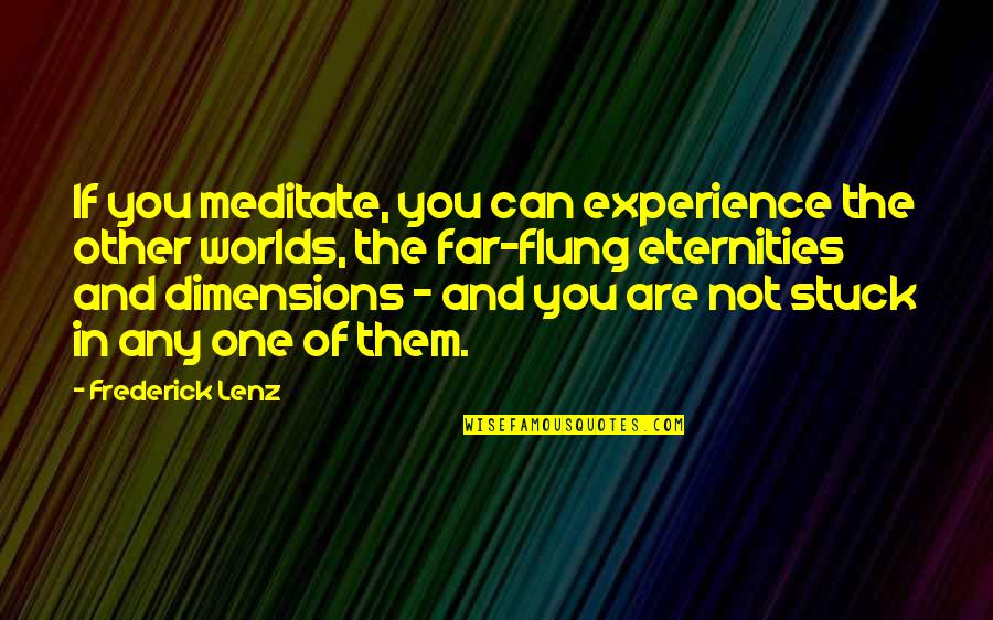 Sonia Lowmans Teach Us All Quotes By Frederick Lenz: If you meditate, you can experience the other