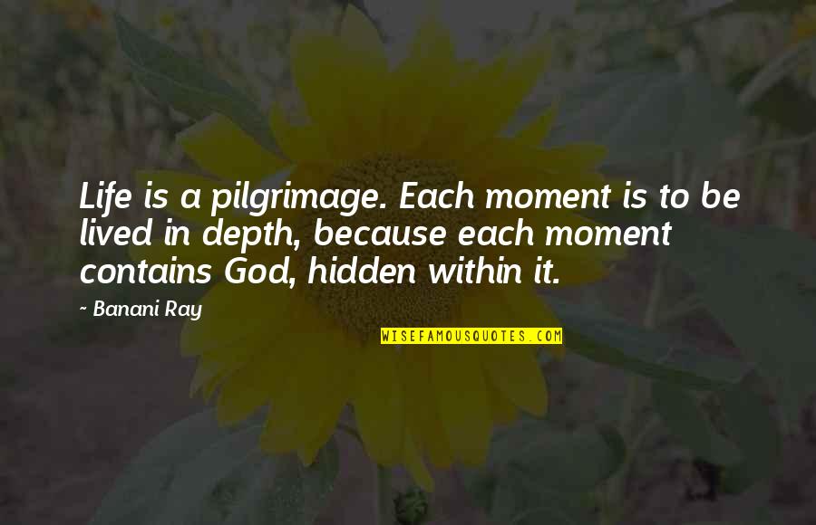 Sonic Boom Game Quotes By Banani Ray: Life is a pilgrimage. Each moment is to Sonic Boom Game Quotes By Banani Ray: Life is a pilgrimage. Each moment is to
