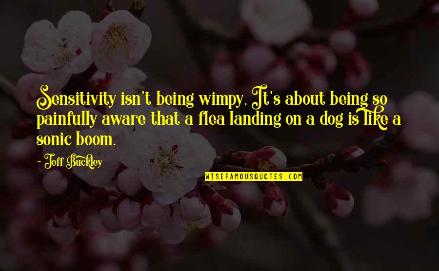 Sonic Boom Sonic Quotes By Jeff Buckley: Sensitivity isn't being wimpy. It's about being so
